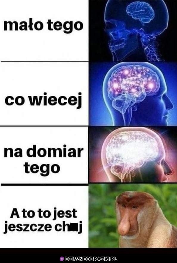 Co więcej