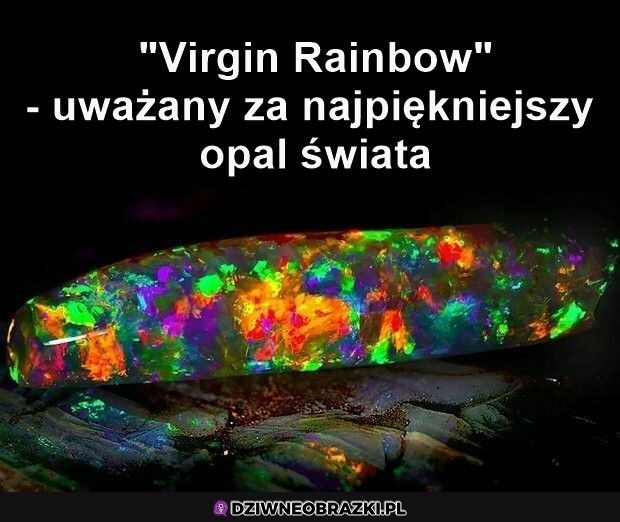 Całkiem całkiem