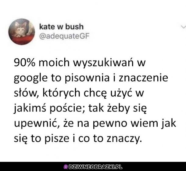 Przynajmniej nie wychodzi na głupka