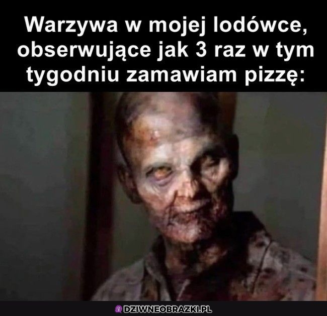 Taki ich wygląd