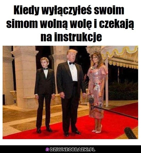 Przywiecha