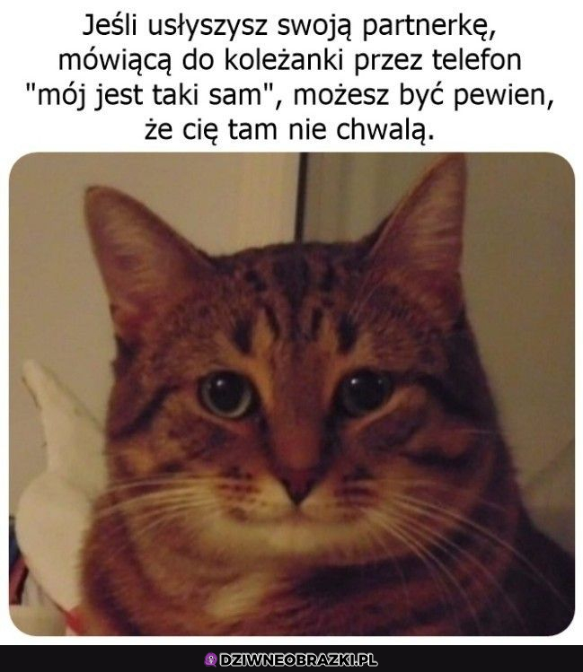 Rozmowy bab przez telefon