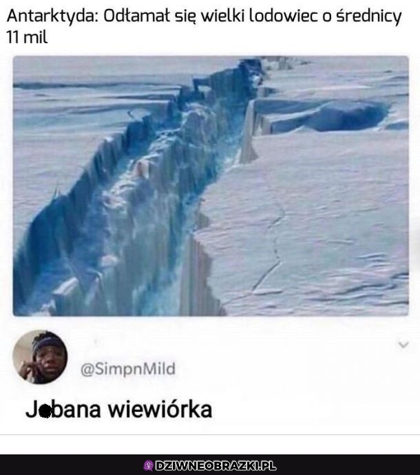 Znowu ona