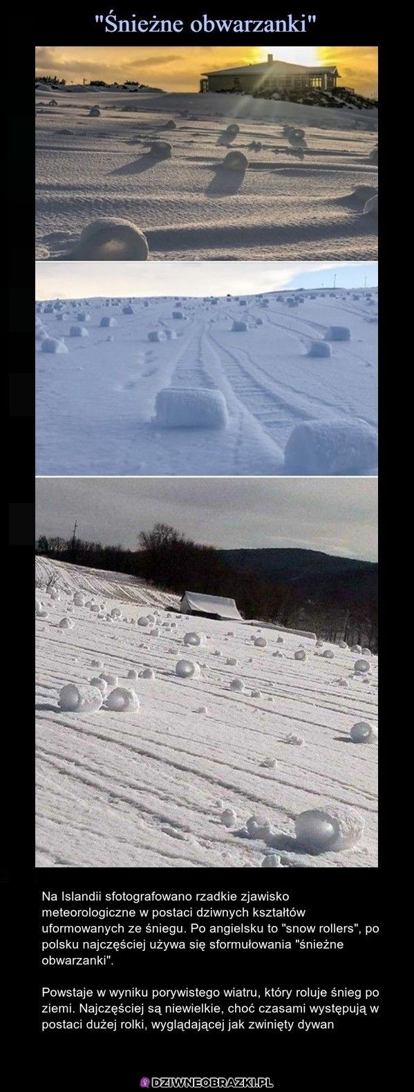 Śnieżne obwarzanki