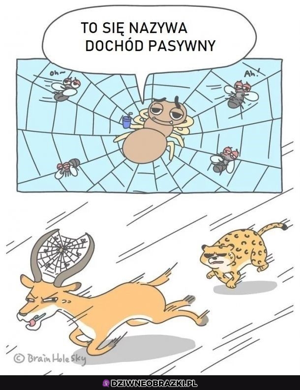 Sprytne rozwiązanie