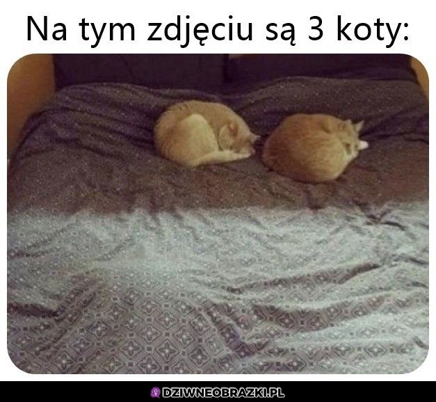 Tak, są trzy