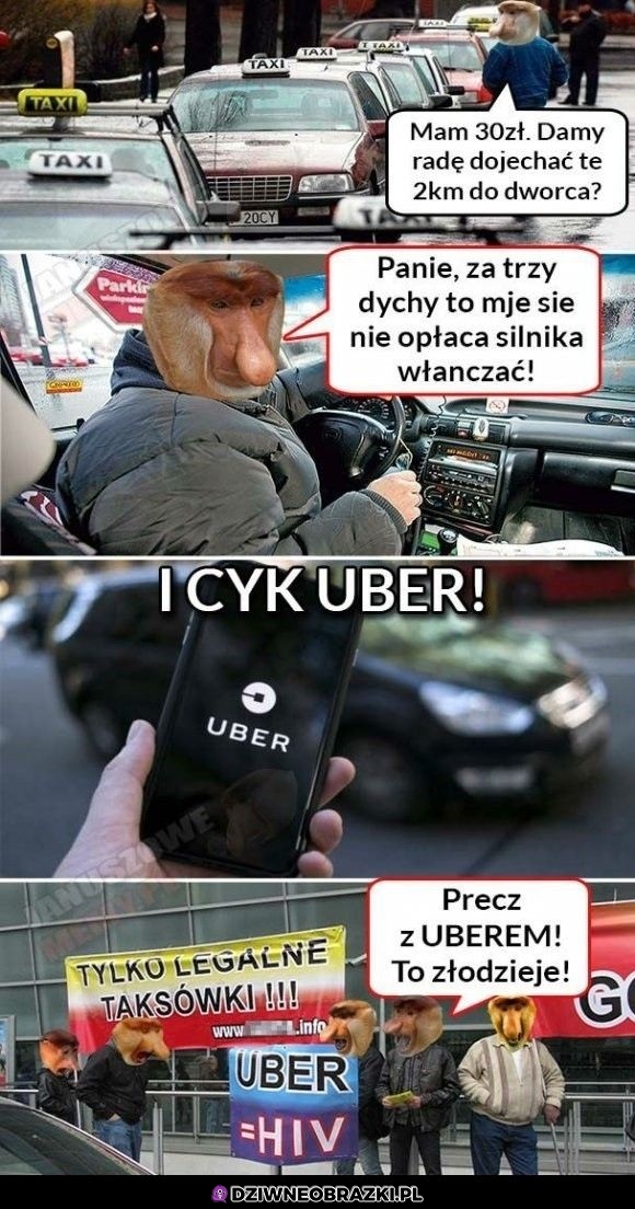 Złotówy vs uber