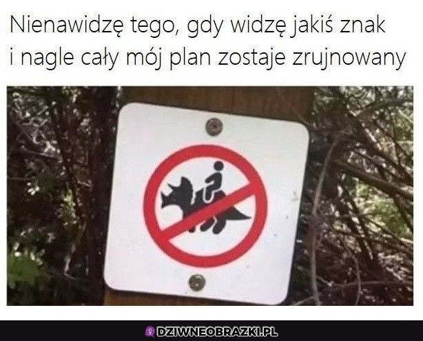 No i po moich planach