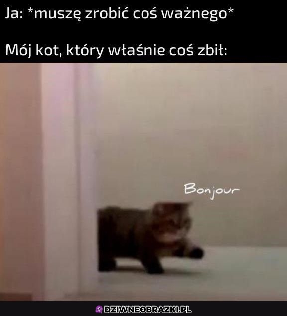 I wtedy wchodzi on