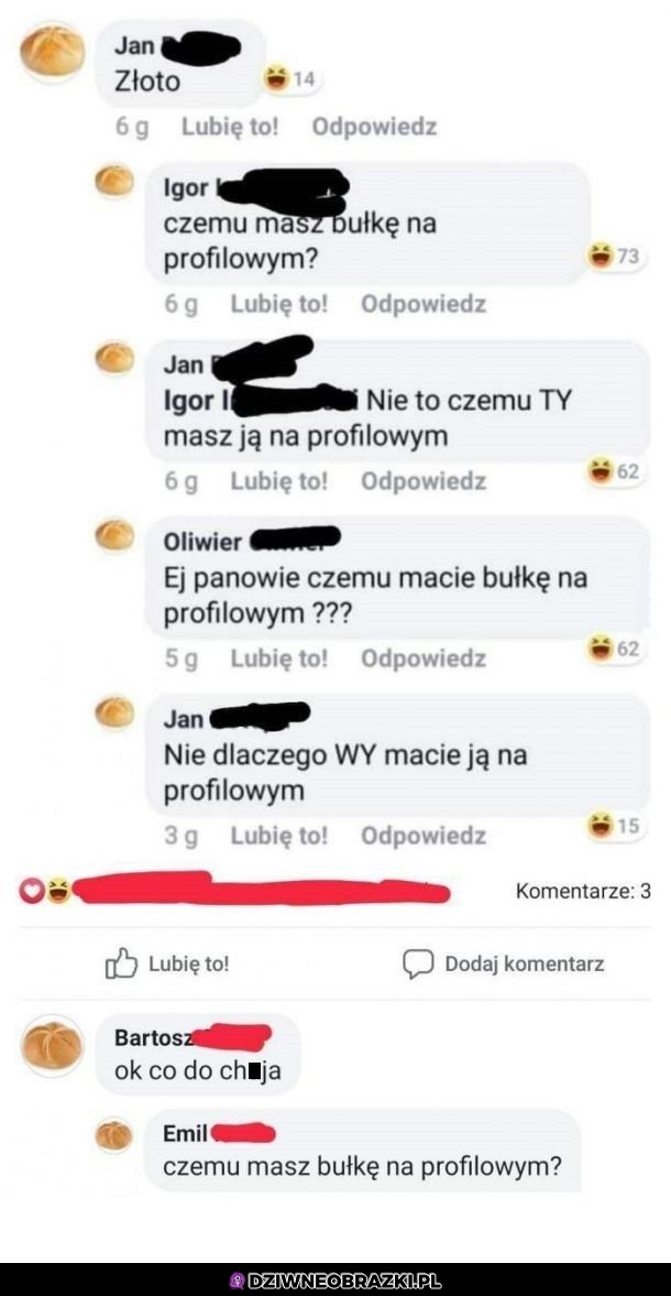 Buły