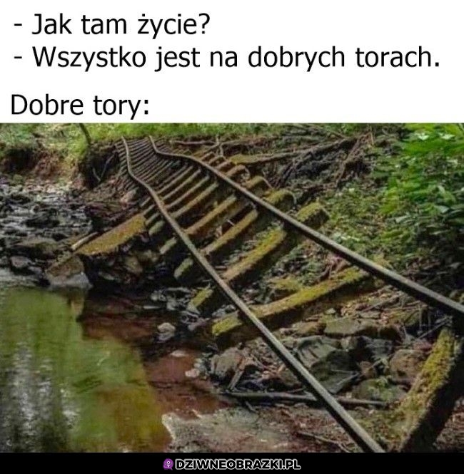 Tak wygladaja