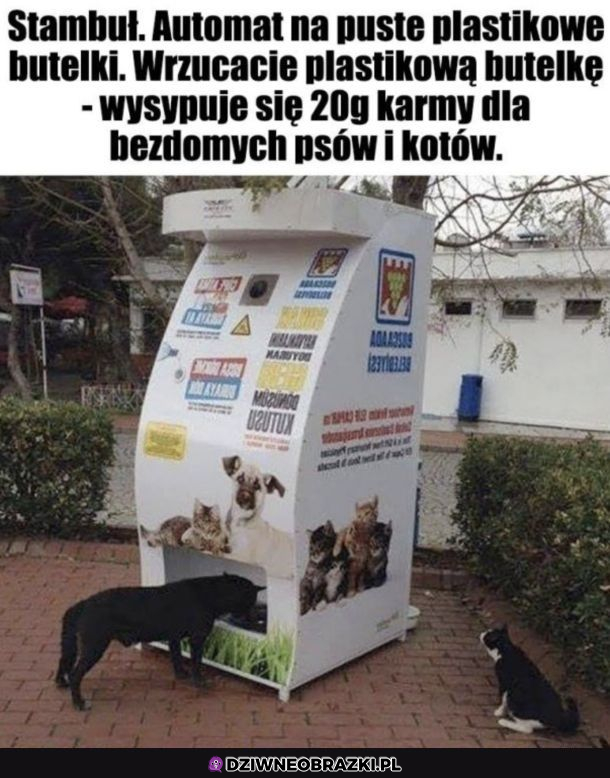 Idealne rozwiązanie