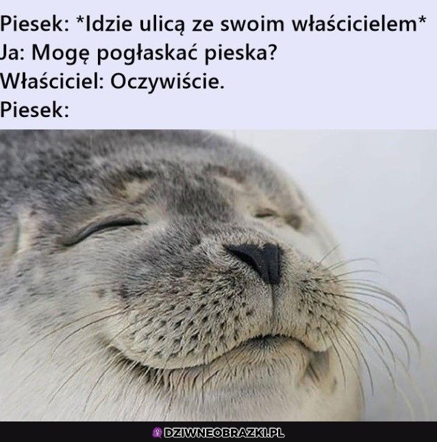 Zawsze najpierw pytamy Zawsze najpierw pytamy