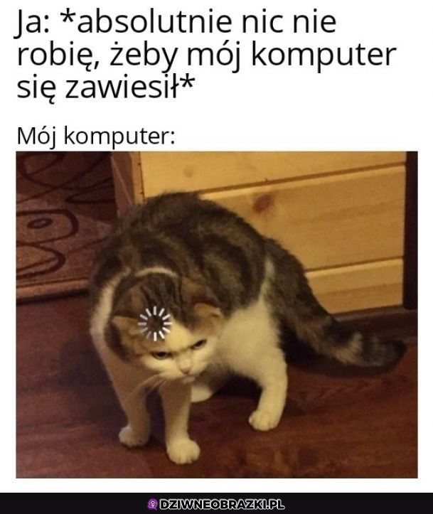 Kiedy komputer się zawiesza