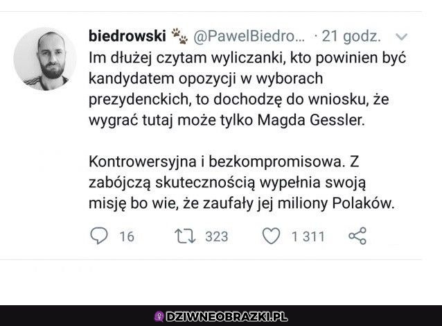Kandydatka idealna