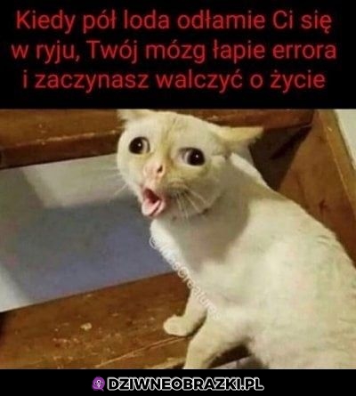 Ten moment