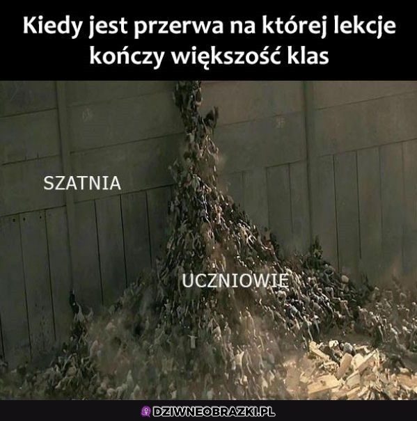 Tak to wygląda