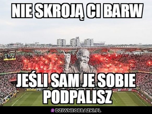 Ogarnęli