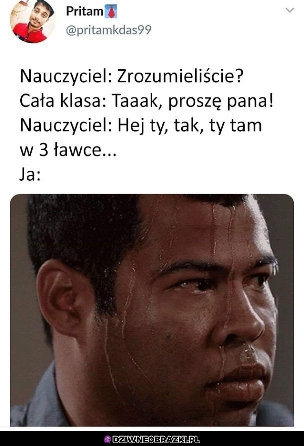 Rozumiecie?