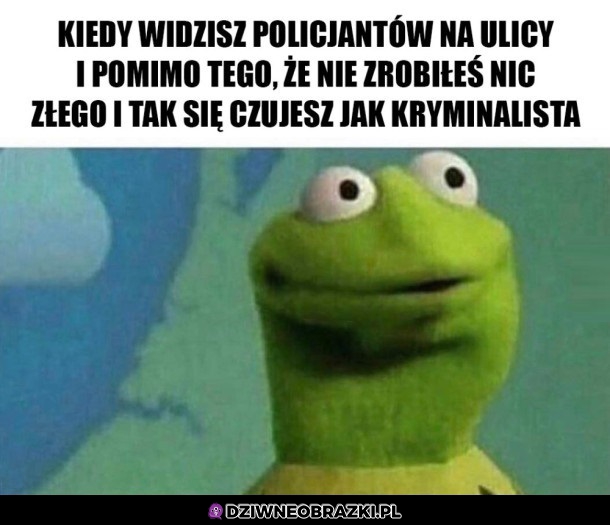 Oni o niczym nie wiedzą