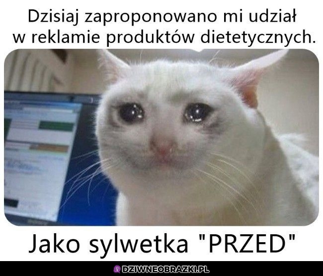 Propozycja