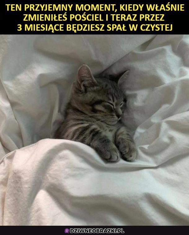 Przyjemny moment