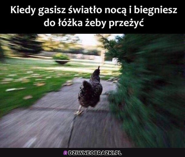 Ten moment