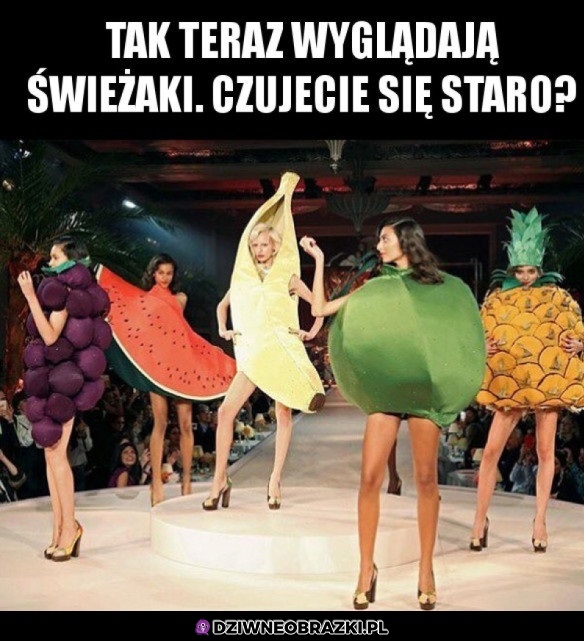 Świeżaki