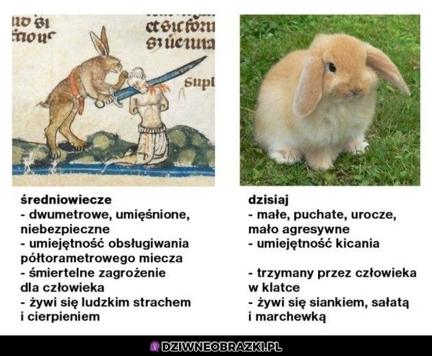Ale upadły nisko