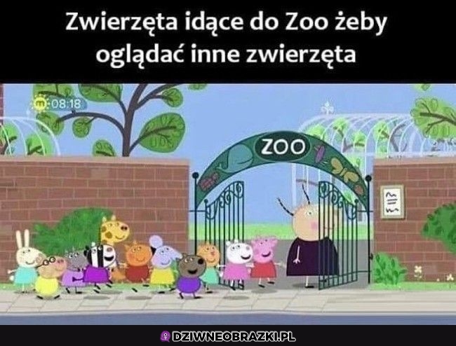 Co tu się dzieje