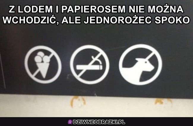 Dobrze, że chociaż z nim można