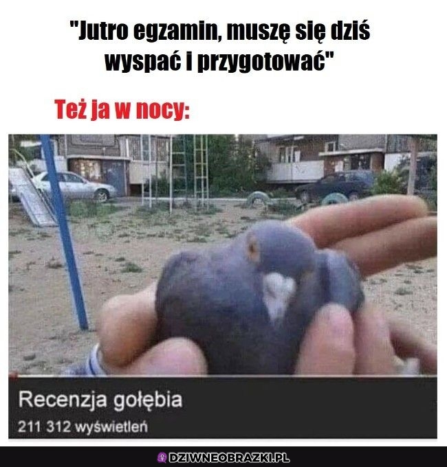 Priorytety