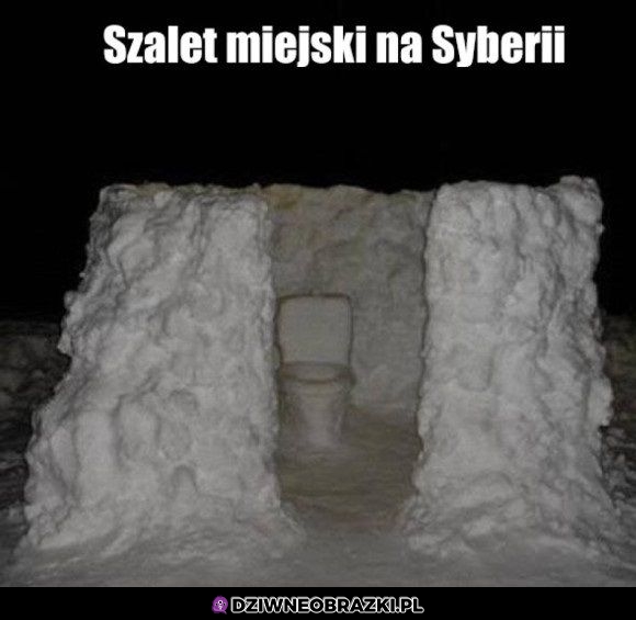 Korzystałbym