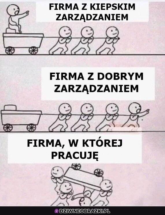 twoja firma vs moja firma