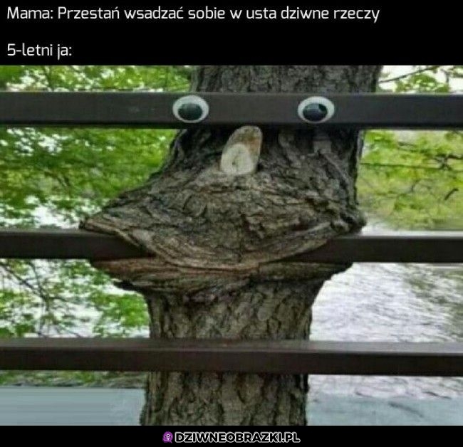 Om nom nom