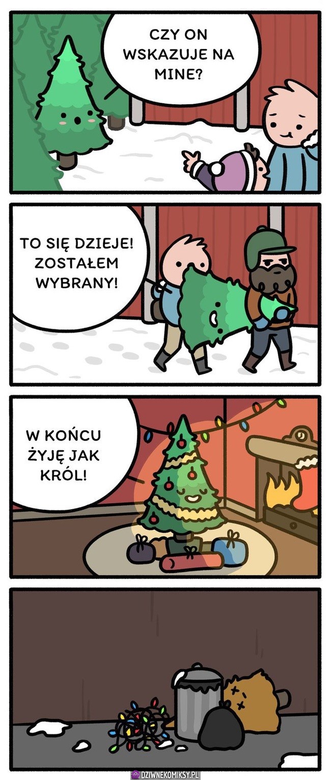 Z innej perspektywy