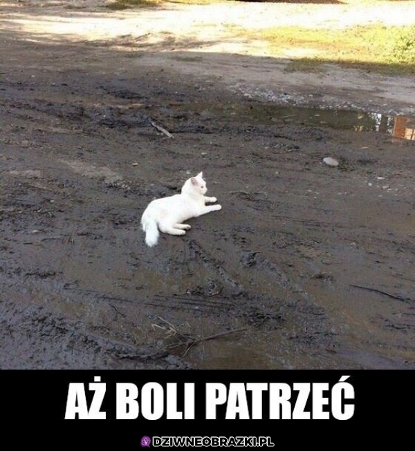 Weź go domyj potem