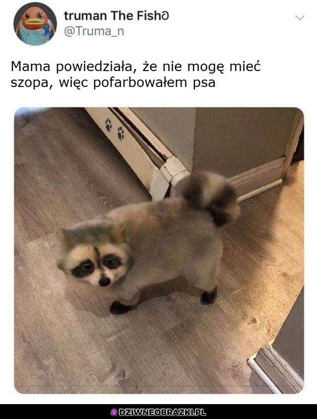 Sprytnie