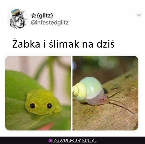 Urocze