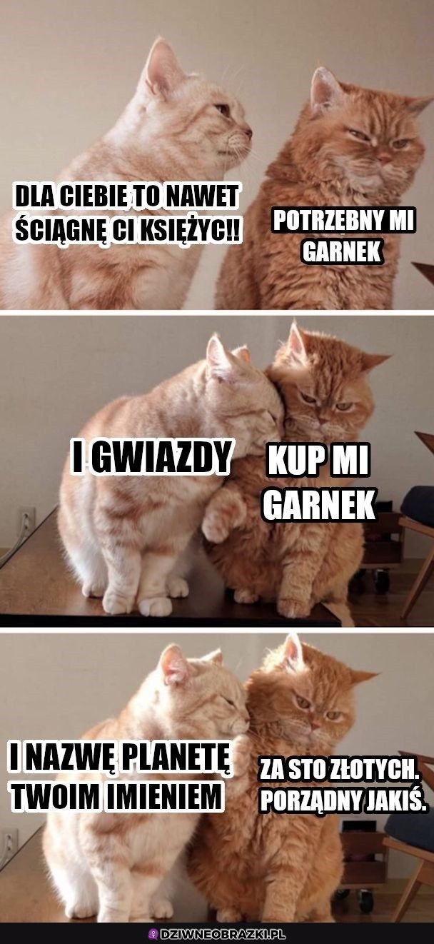 Potrzeby