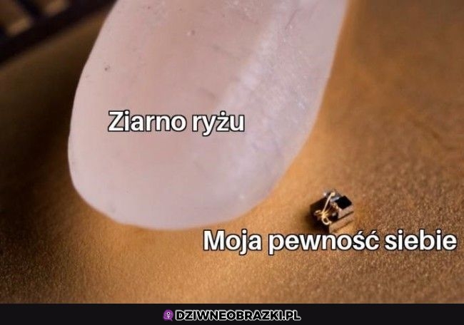 Tak wielka jest