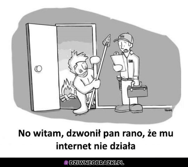 Bez neta