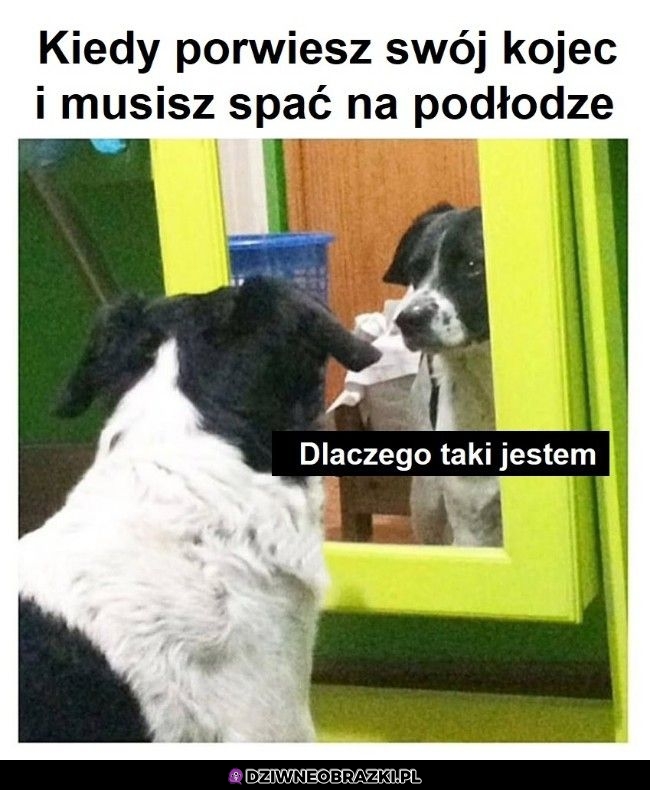 Ten moment