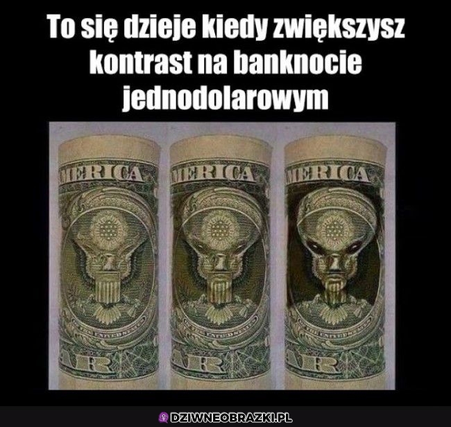 Ciekawostka