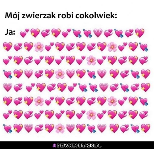 Kiedy zwierzak coś robi