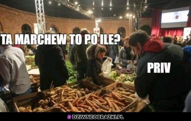 Po ile ta marchew?
