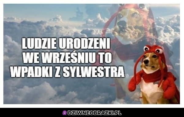 Ci ludzie
