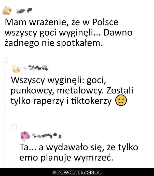 Komuś się wymarło