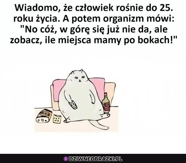 Rośnięcie po 25 roku życia\