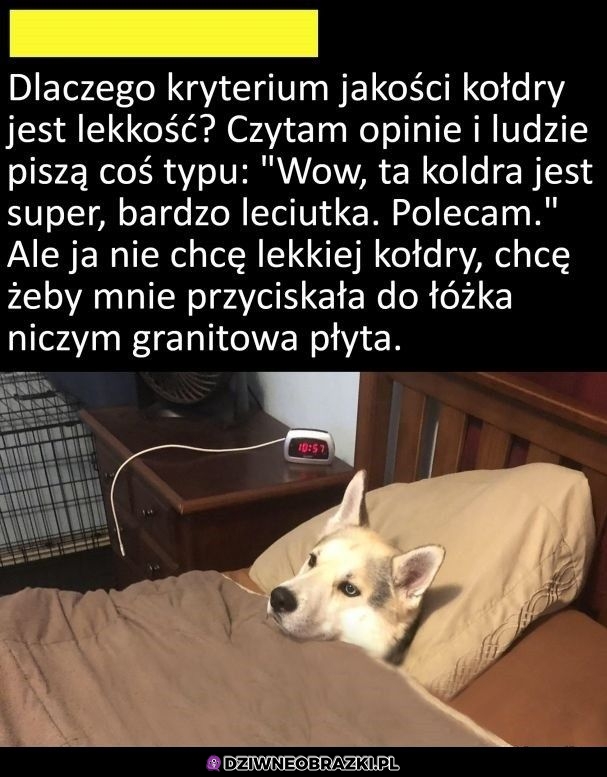 Dokładnie takiej potrzebuję